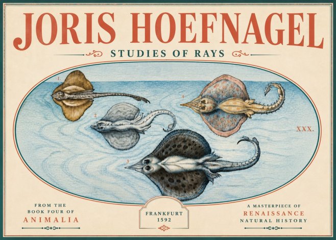 Joris Hoefnagel Rays and Skates No6 - Plakát