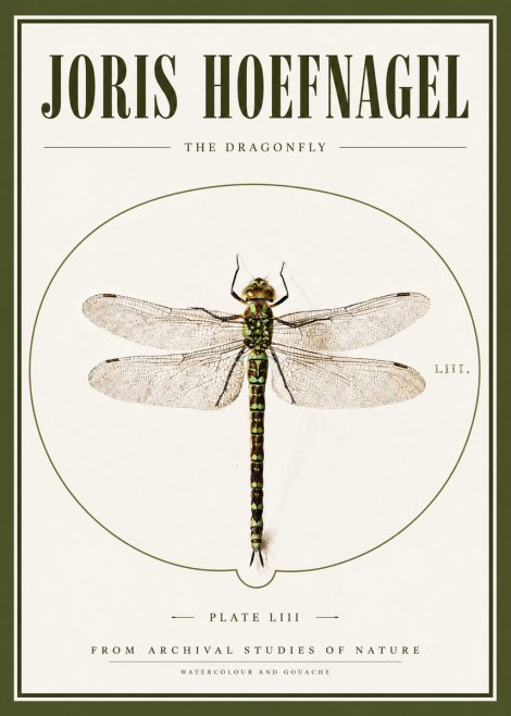 Joris Hoefnagel The Dragonfly No3 - Plakát