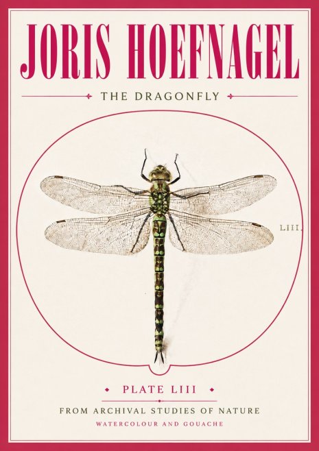 Joris Hoefnagel The Dragonfly No5 - Plakát