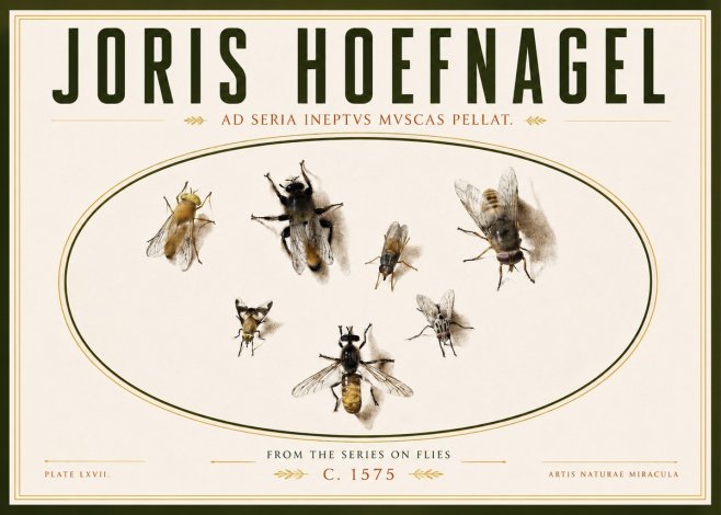 Joris Hoefnagel From the Series on Flies - Plate Lxvii. No4 - Plakát
