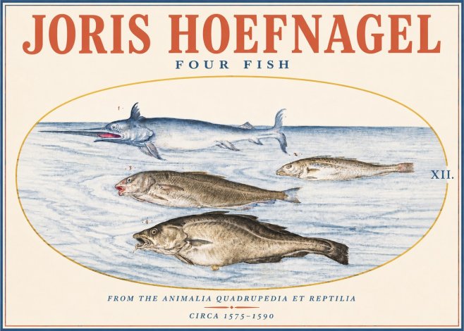 Joris Hoefnagel Four Fish No3 - Plakát