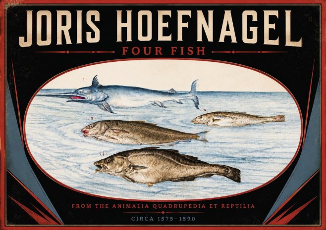 Joris Hoefnagel Four Fish No5 - Plakát