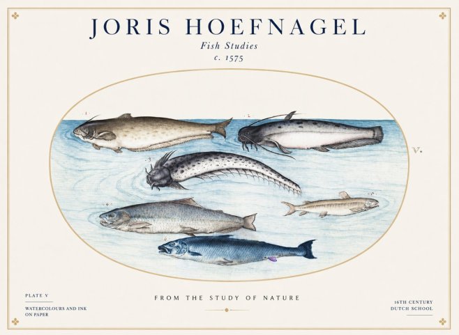 Joris Hoefnagel Fish of the Waters No2 - Plakát