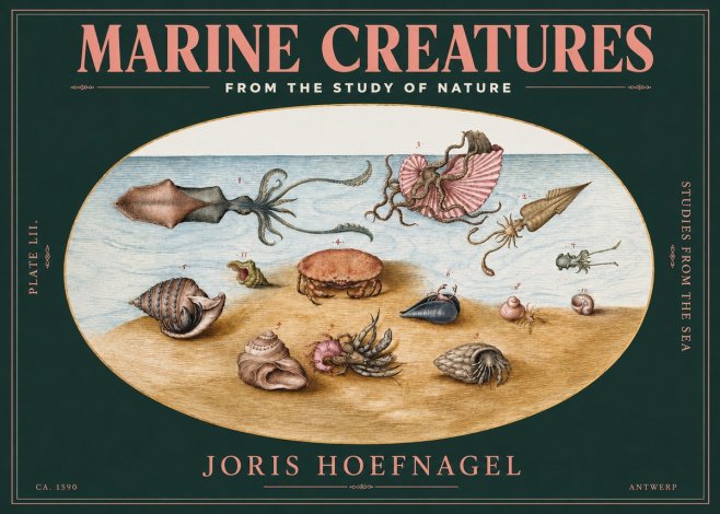 Joris Hoefnagel Marine Creatures - Plate Lii No3 - Plakát