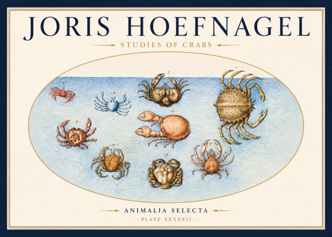 Joris Hoefnagel Studies of Crabs No3 - Plakát