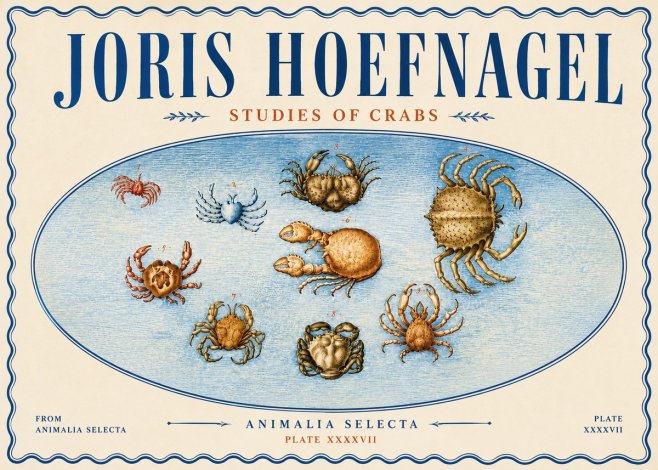 Joris Hoefnagel Studies of Crabs No6 - Plakát
