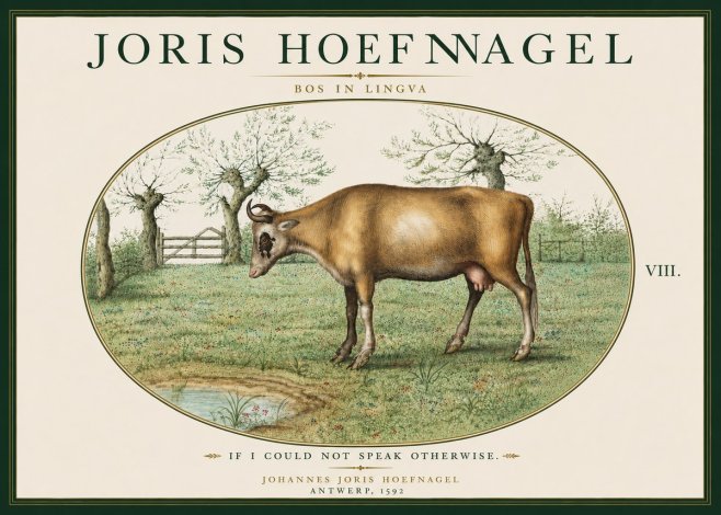 Joris Hoefnagel Bos in Lingva No6 - Plakát