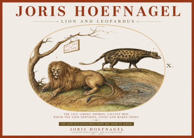 Joris Hoefnagel Lion and Spotted Hyena No4 - Plakát