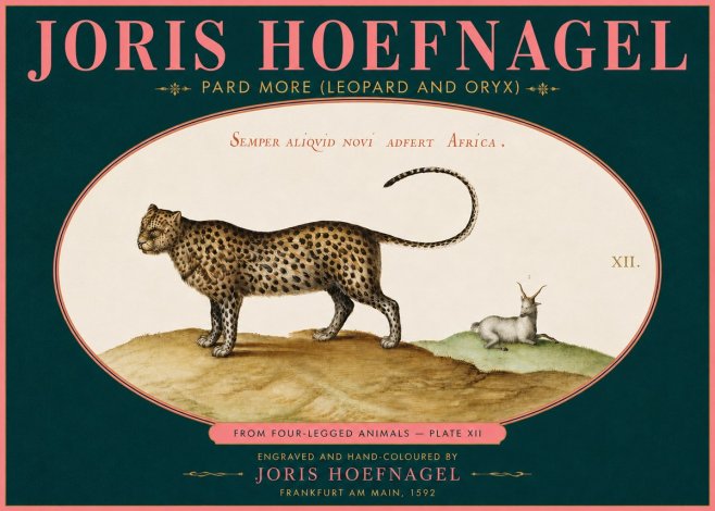Joris Hoefnagel Pard More (Leopard and Oryx) No5 - Plakát