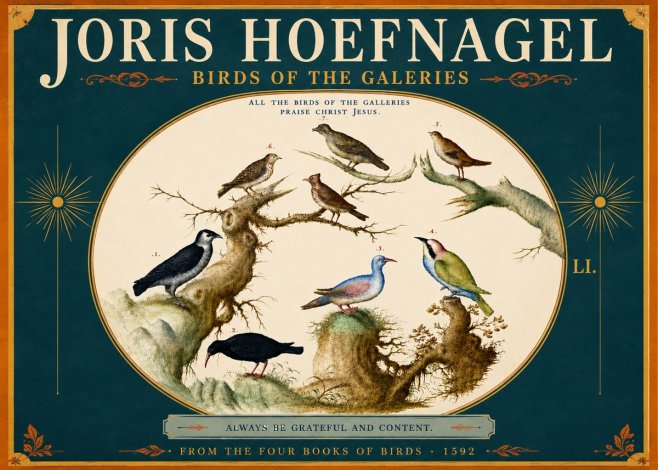 Joris Hoefnagel Birds of the Galeries No5 - Plakát