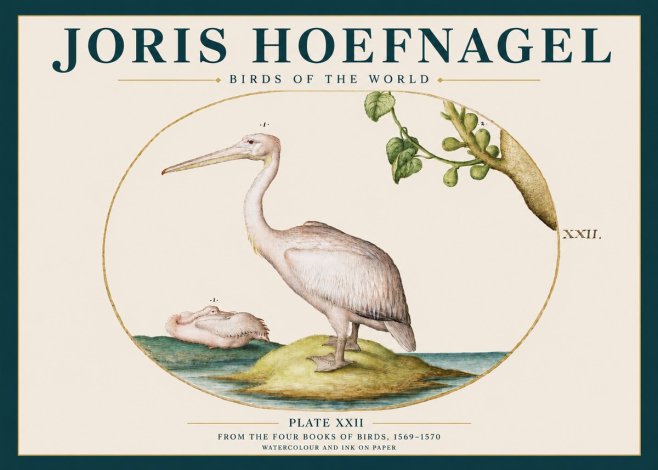 Joris Hoefnagel Plate Xxii No3 - Plakát