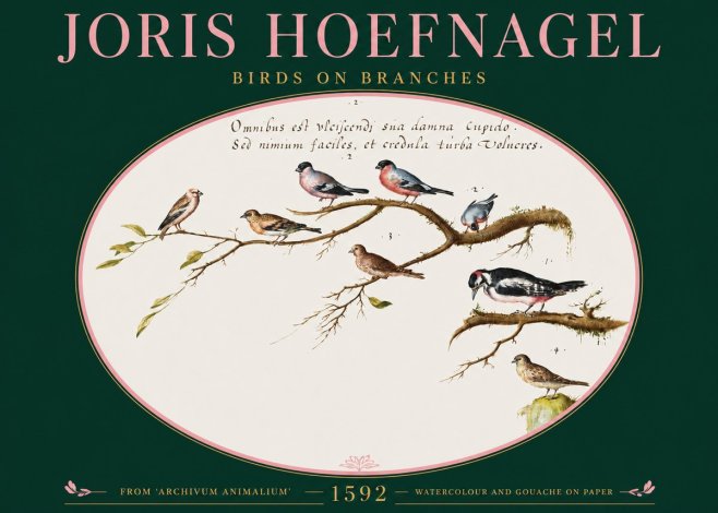 Joris Hoefnagel Birds on Branches No2 - Plakát
