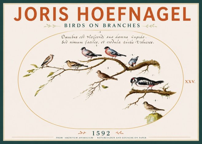 Joris Hoefnagel Birds on Branches No4 - Plakát