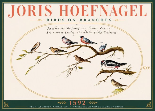 Joris Hoefnagel Birds on Branches No6 - Plakát
