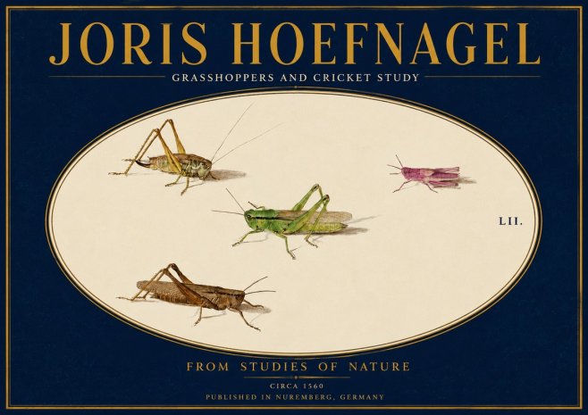 Joris Hoefnagel Three Grasshoppers and a Locust No4 - Plakát