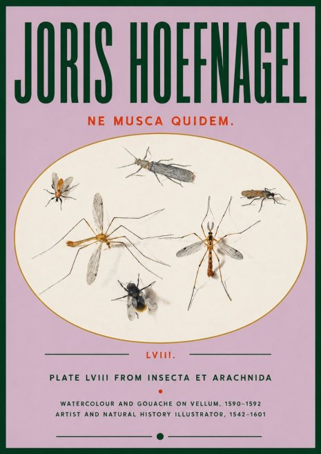 Joris Hoefnagel Plate Lviii from Insecta Et Arachnida No4 - Plakát