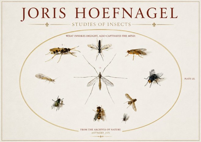 Joris Hoefnagel Studies of Insects III No3 - Plakát