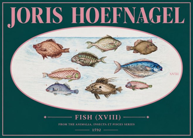 Joris Hoefnagel Studies of Fish I No3 - Plakát