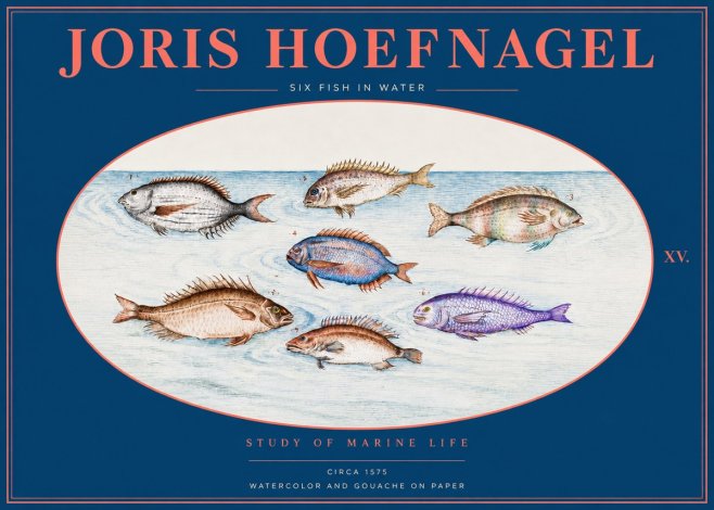 Joris Hoefnagel Six Fish in Water No2 - Plakát