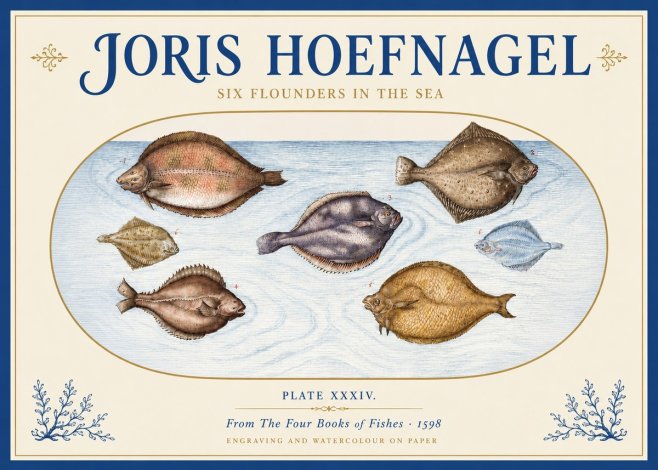 Joris Hoefnagel Six Flounders in the Sea No3 - Plakát