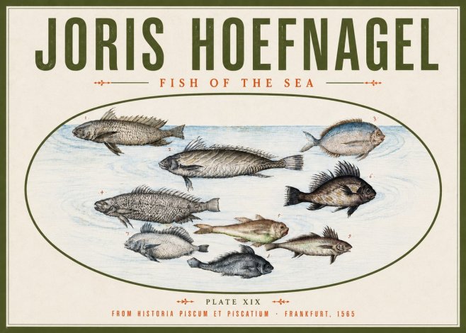 Joris Hoefnagel Fish of the Sea No4 - Plakát