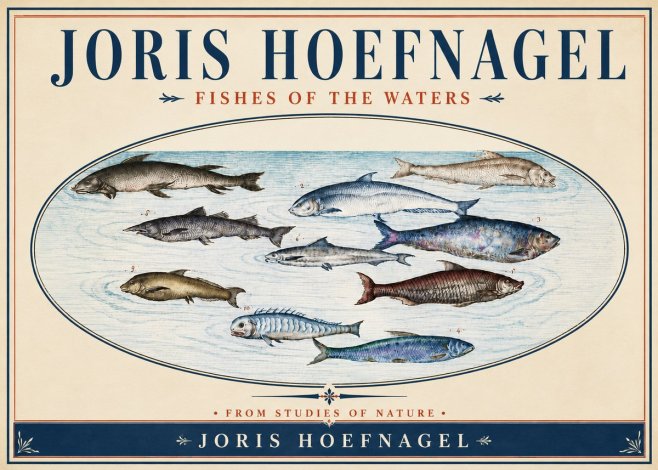 Joris Hoefnagel Fishes of the Waters II No4 - Plakát