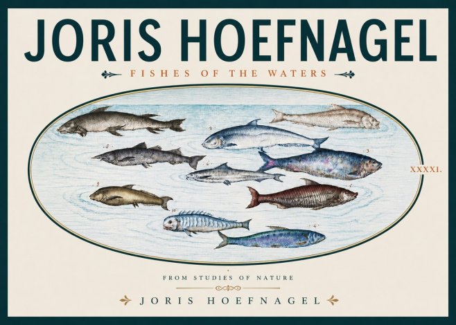 Joris Hoefnagel Fishes of the Waters II No5 - Plakát