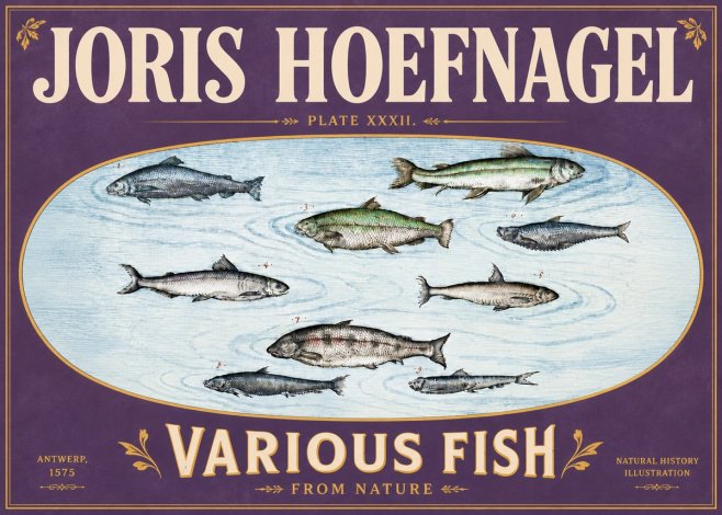 Joris Hoefnagel Various Fish from Nature No6 - Plakát