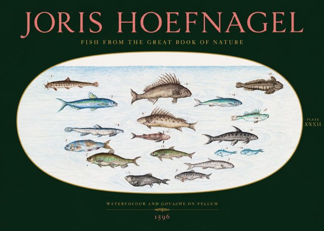 Joris Hoefnagel Fish from the Great Book of Nature No2 - Plakát