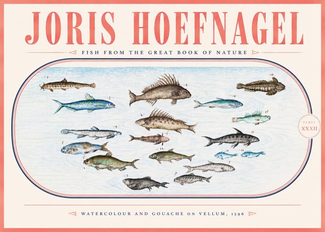 Joris Hoefnagel Fish from the Great Book of Nature No5 - Plakát