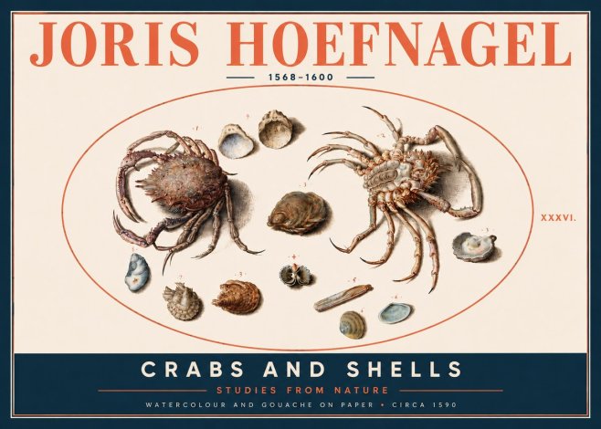 Joris Hoefnagel Crabs and Shells - Studies from Nature No4 - Plakát