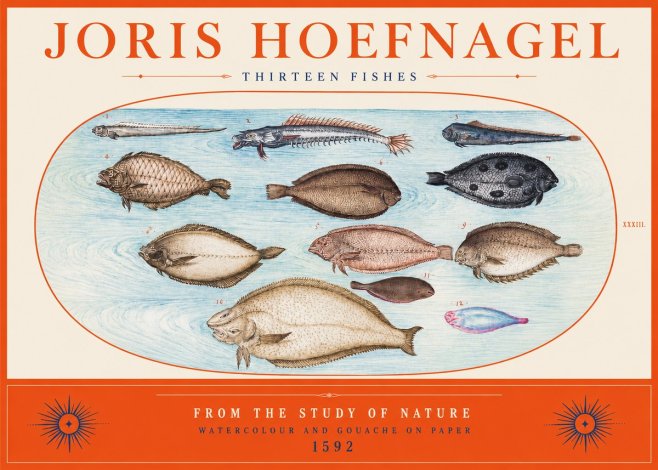 Joris Hoefnagel Thirteen Fishes from the Study of Nature No2 - Plakát