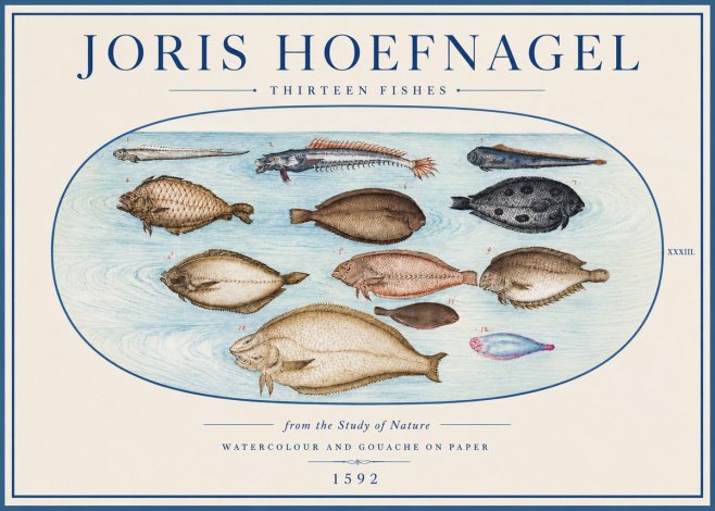 Joris Hoefnagel Thirteen Fishes from the Study of Nature No4 - Plakát