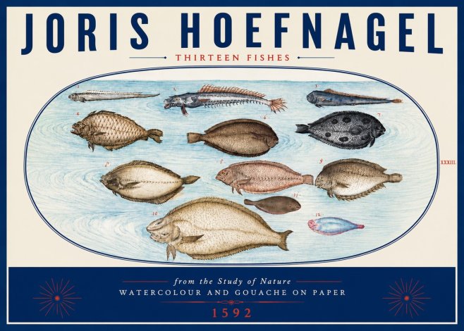 Joris Hoefnagel Thirteen Fishes from the Study of Nature No6 - Plakát