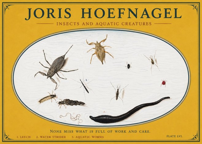 Joris Hoefnagel Insects and Aquatic Creatures No3 - Plakát