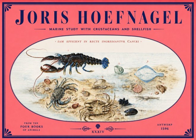 Joris Hoefnagel Marine Study with Crustaceans and Shellfish No4 - Plakát