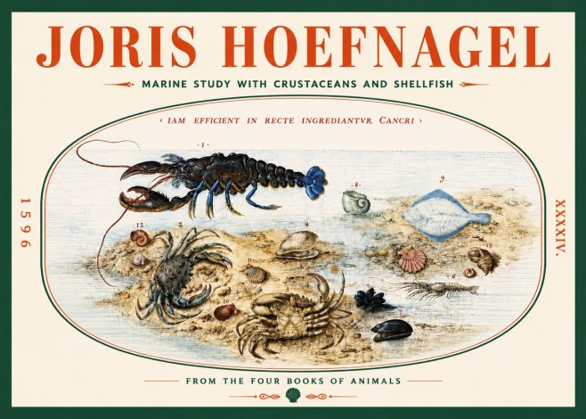 Joris Hoefnagel Marine Study with Crustaceans and Shellfish No5 - Plakát