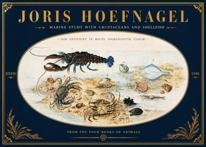 Joris Hoefnagel Marine Study with Crustaceans and Shellfish No6 - Plakát