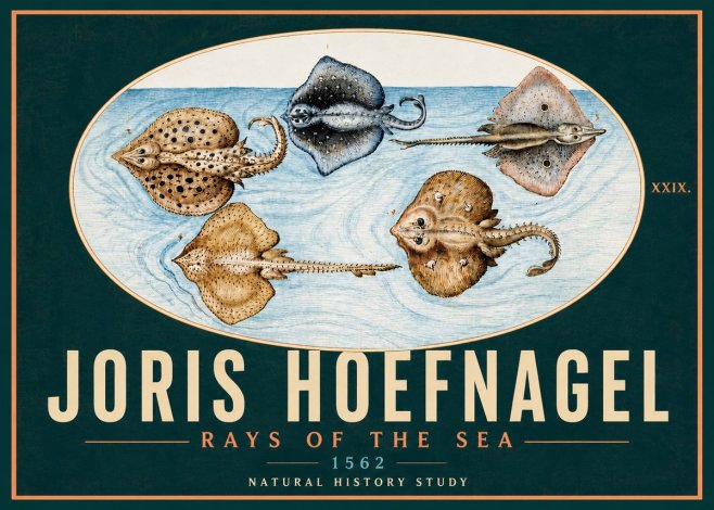 Joris Hoefnagel Rays of the Sea No5 - Plakát