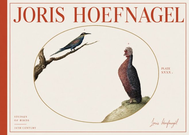Joris Hoefnagel Studies of Birds I No4 - Plakát
