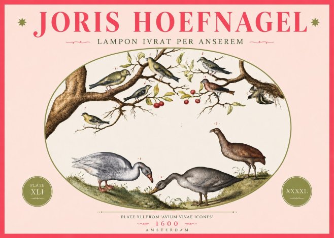 Joris Hoefnagel Lampon Ivrat per Anserem No4 - Plakát