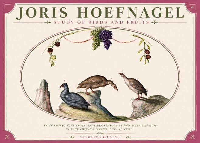 Joris Hoefnagel Three Birds with Grapes and Inscription No6 - Plakát