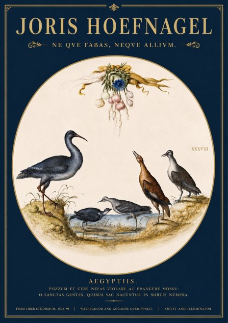 Joris Hoefnagel Aegyptiis. No4 - Plakát