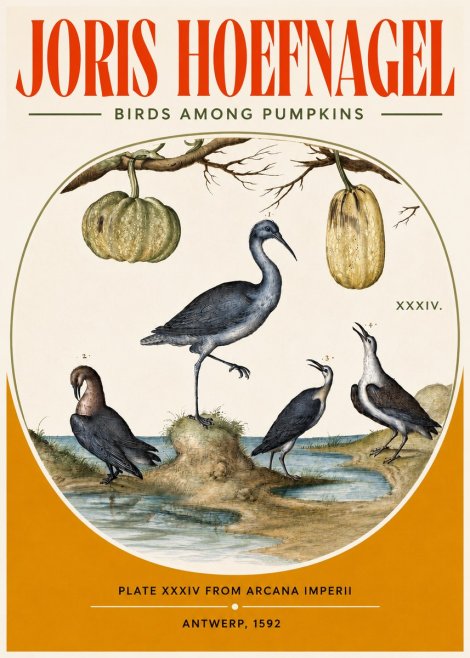 Joris Hoefnagel Birds and Fruits No4 - Plakát