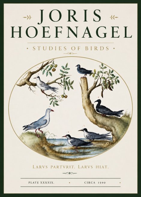 Joris Hoefnagel Studies of Birds II No3 - Plakát