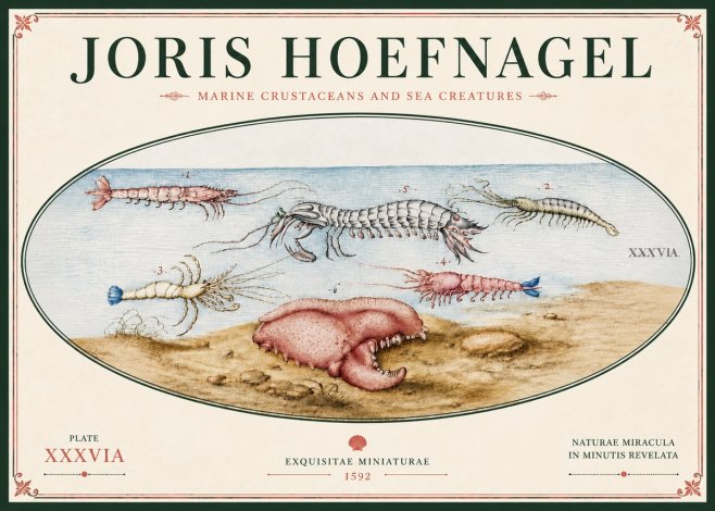 Joris Hoefnagel Marine Crustaceans and Sea Creature No6 - Plakát
