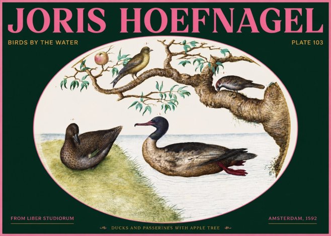 Joris Hoefnagel Ducks and Passerines with Apple Tree No2 - Plakát
