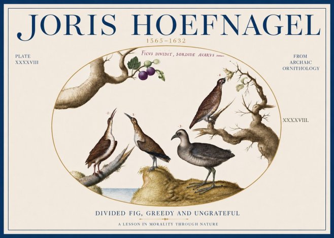 Joris Hoefnagel Birds from the Four Parts of the World No4 - Plakát