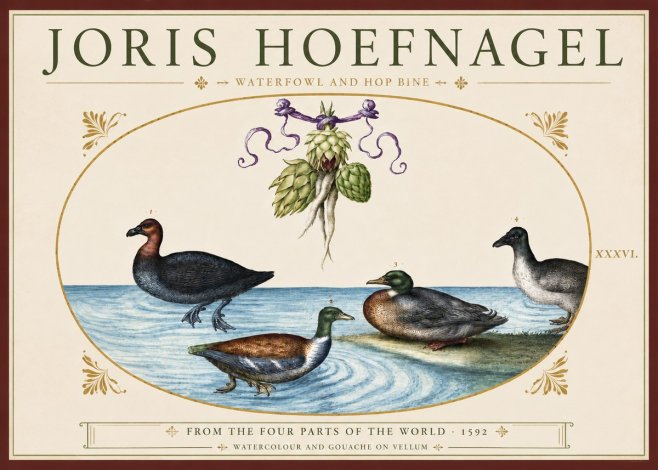 Joris Hoefnagel Waterfowl and Hop Bine No3 - Plakát