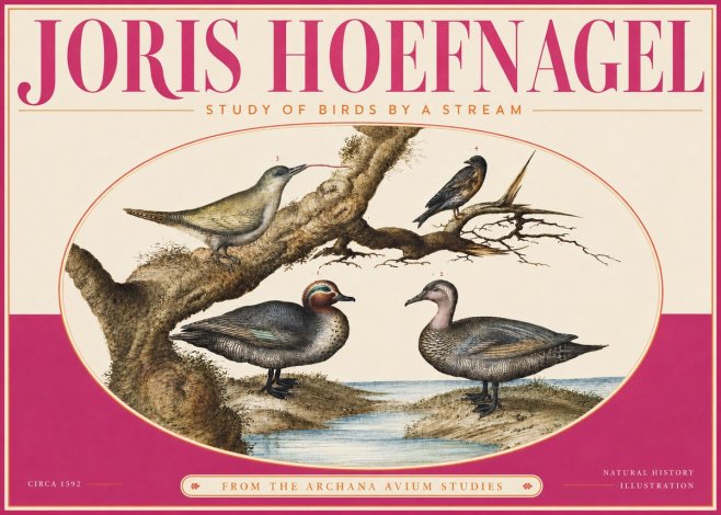 Joris Hoefnagel Study of Birds by a Stream No4 - Plakát